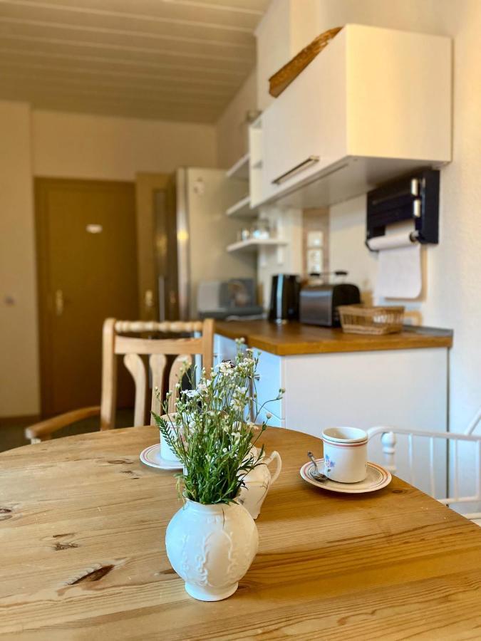 Ferienwohnung Schmidtalien Dommitzsch Extérieur photo